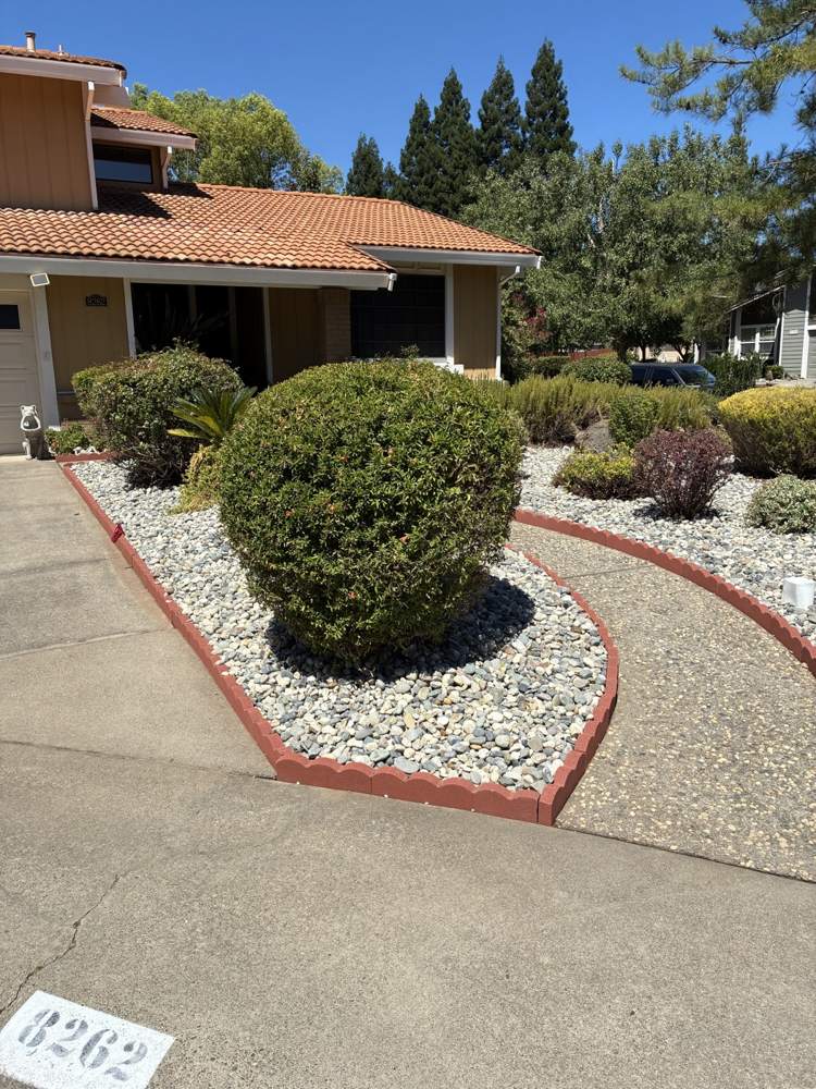 Driveway bordered with brick edging, rock and a shaped shrub