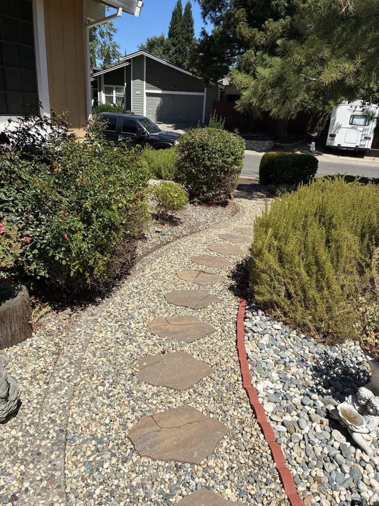 Stepping stones through a gravel side yard